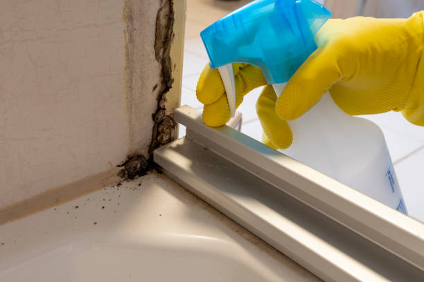 Asbestos and Lead Testing During Mold Inspection